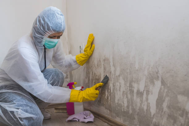 Water Damage Restoration in Millvale, PA