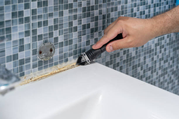 Best Mold Remediation  in Millvale, PA
